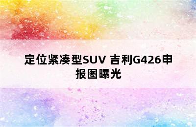 定位紧凑型SUV 吉利G426申报图曝光